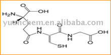 L-Glutathione Oxidized GSSG