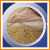 Bacillus Subtilis