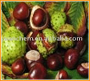 Horse Chestnut P.E.